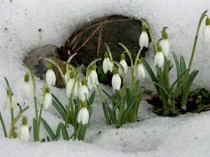 Загадки про весну