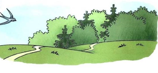 Как нарисовать лес