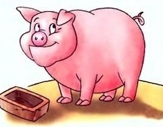 Как нарисовать свинью