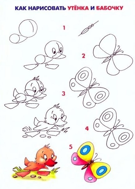 Как нарисовать утенка и бабочку