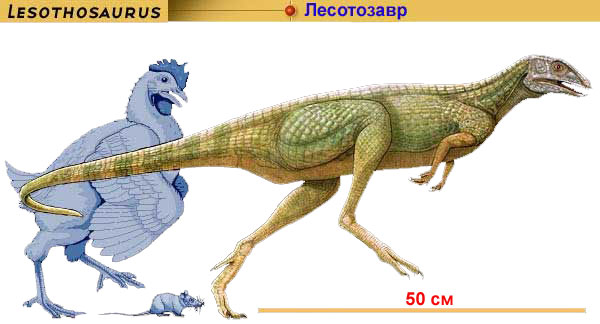 Лесотозавр, один из самых маленьких травоядных динозавров