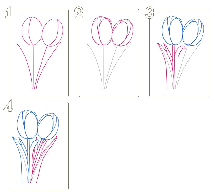 Как нарисовать тюльпаны